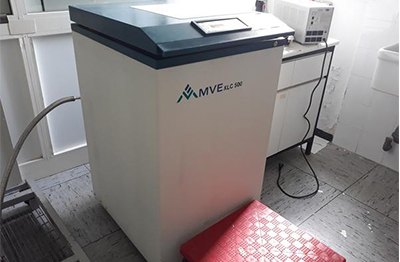 液氮低溫儲存容器MVE XLC-500帶TEC 2000 系統監視器
